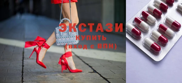 индика Алексин