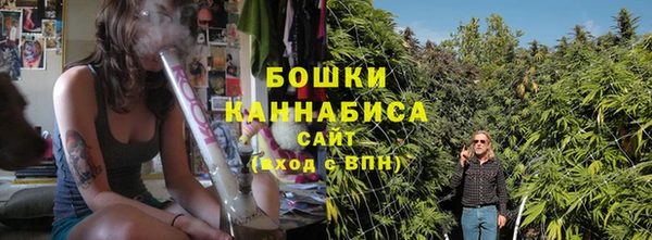 PSILOCYBIN Алексеевка