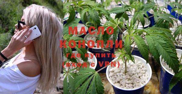индика Алексин
