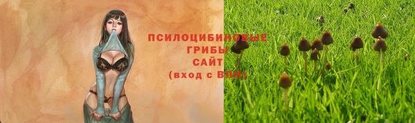 скорость Алзамай