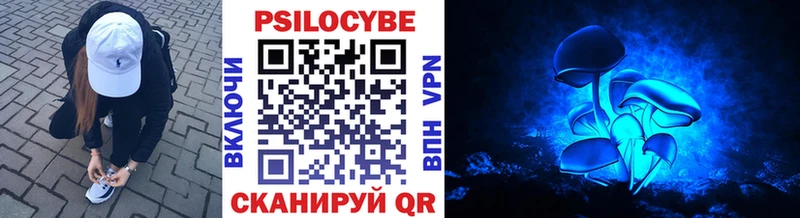 Галлюциногенные грибы Psilocybe  Купить где  Печоры 